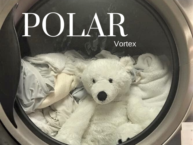 Just for Fun  - Our idea of the Polar Vortex